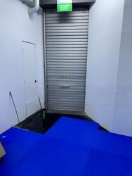 Balestier Road (D12), Shop House #460150621